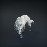 wolf-7.jpg