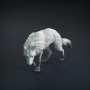 wolf-8.jpg