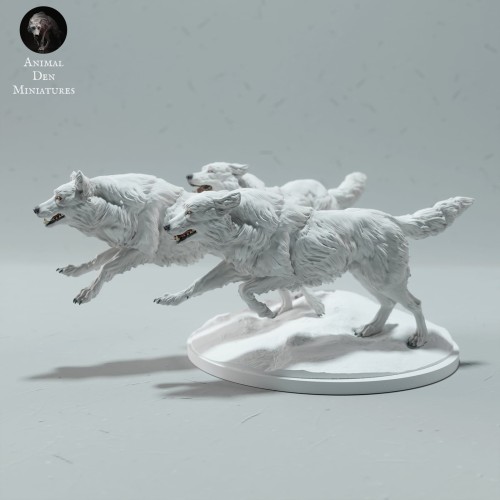 arctic-wolves-run-1.jpg