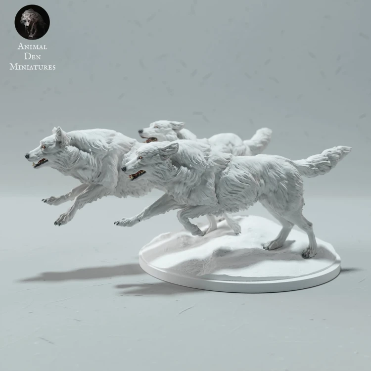 arctic-wolves-run-1.jpg