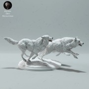 arctic-wolves-run-3.jpg