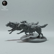 arctic-wolves-run-4.jpg