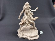 Nerikson_Rowena the Wild Sorcerer_1.jpg