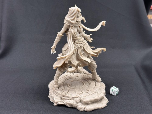 Nerikson_Rowena the Wild Sorcerer_1.jpg