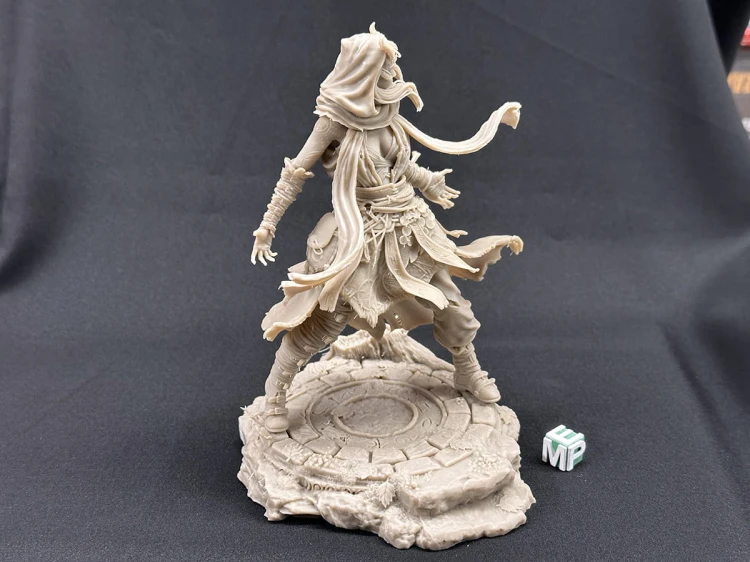 Nerikson_Rowena the Wild Sorcerer_1.jpg