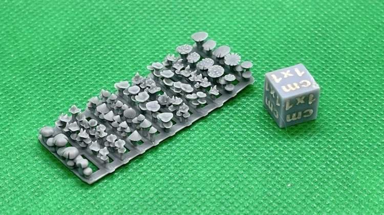 Grzyby 5mm - 11 róznych pasków 2.jpg