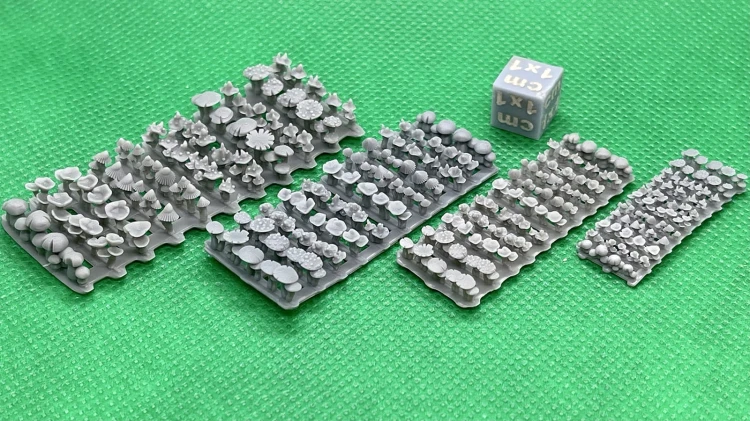 Grzyby All - 11 róznych pasków 2.jpg