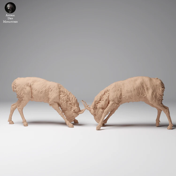 35130626_Mongolian Saiga Male Fight 2.png