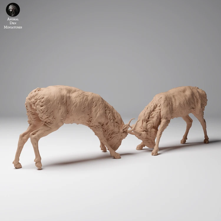 35130626_Mongolian Saiga Male Fight 4.png