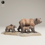 35130628_Grizzly Family 3.jpg