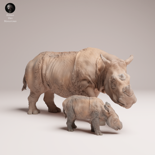 35130724_Sumatran Rhino with Calf 4.png