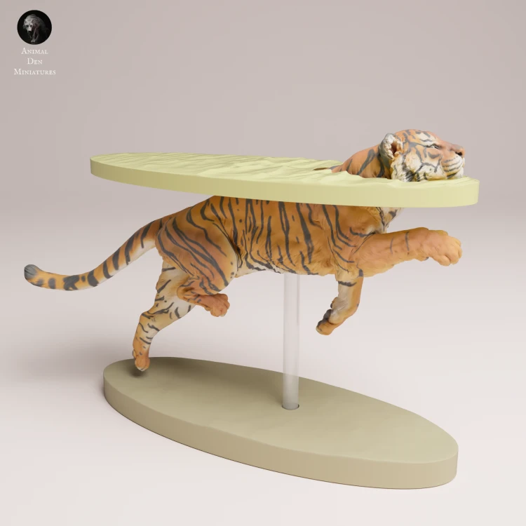 35130725_Sumatran Tiger Swim 4.png