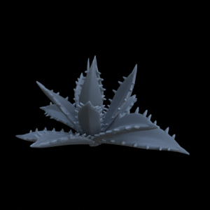 Terrain_Plant_Agave_03.png