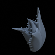 Terrain_Plant_Agave_04.png