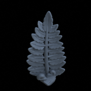 Terrain_Plant_Fern_01.png