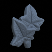 Terrain_Plant_Ivy_4.png
