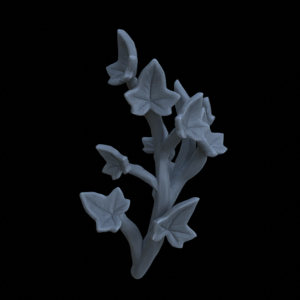 Terrain_Plant_Ivy_6.png