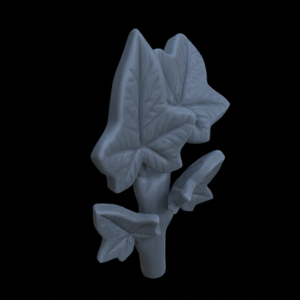 Terrain_Plant_Ivy_10.png