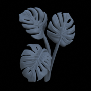 Mostera04_v2.png