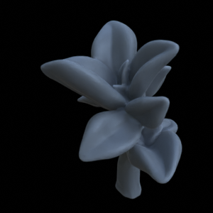 Terrain_Plant_Peperomia_1.png