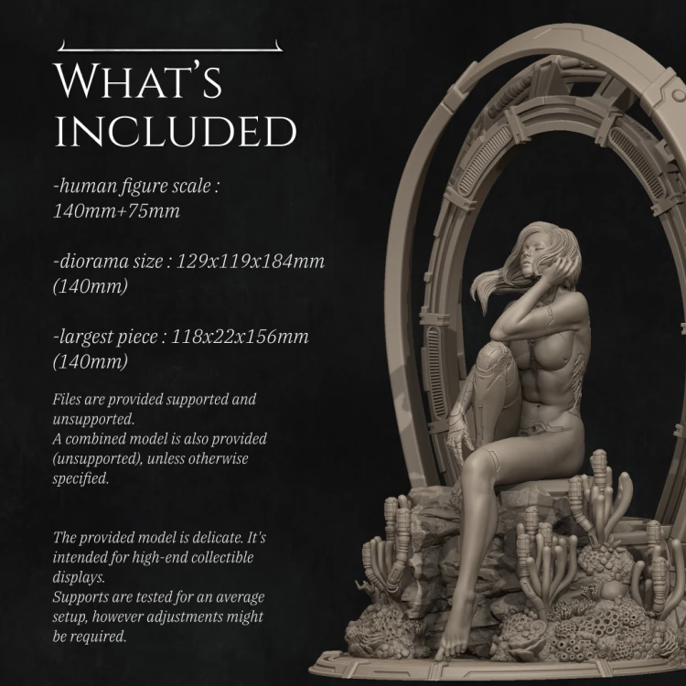 Whats included.jpg
