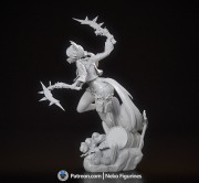 Pulchra_Grey_4.jpg