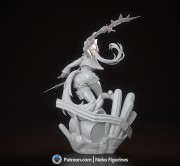 Pulchra_Grey_3.jpg