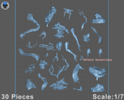 Raiden_Pieces.png