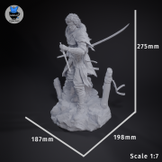 verso_size.png