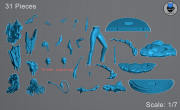 Zani_Form2_Pieces.png