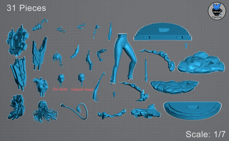 Zani_Form2_Pieces.png