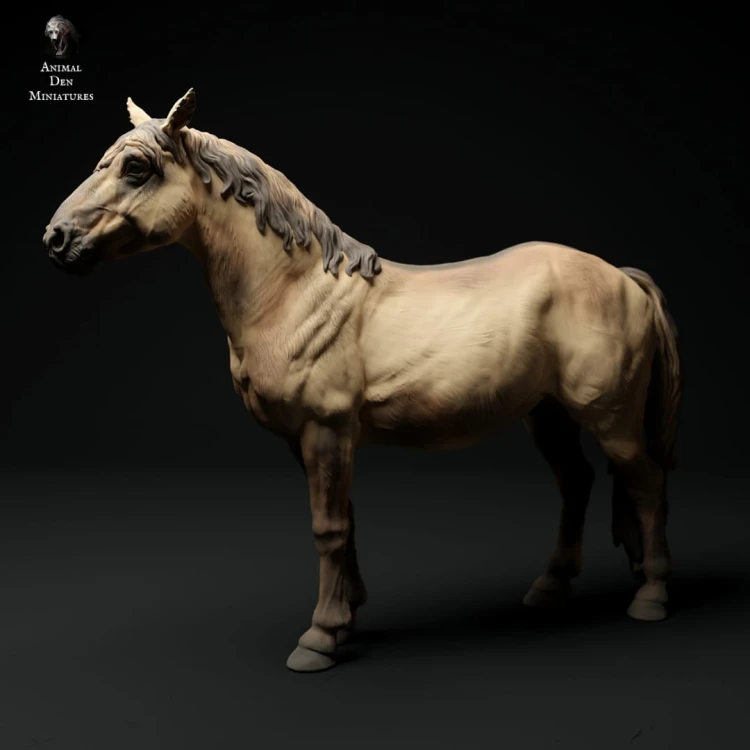35130431_20_Konik Horse.jpg
