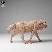 35130459_Mongolian Wolf Walk 2.png