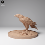 35130536_Golden Eagle Stand 2.png