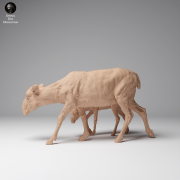35130625_Mongolian Saiga Female and Calf 2.png
