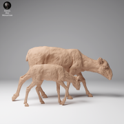 35130625_Mongolian Saiga Female and Calf 3.png