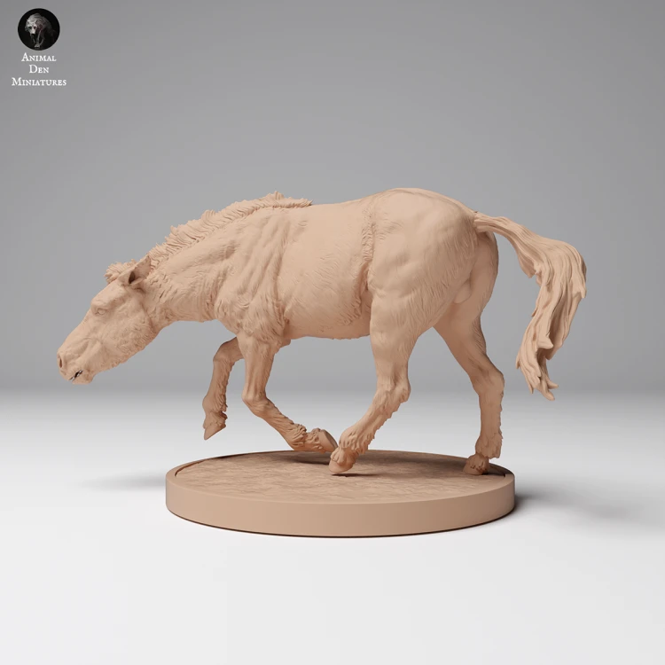 35130708_Przewalskis Horse Run 2.png