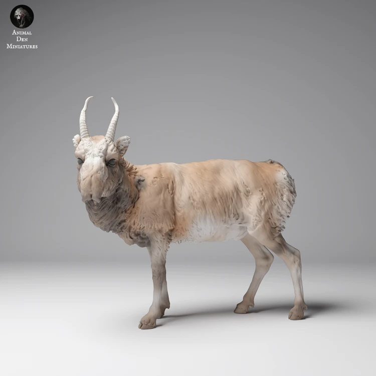 35130623_Mongolian Saiga Male 1.png