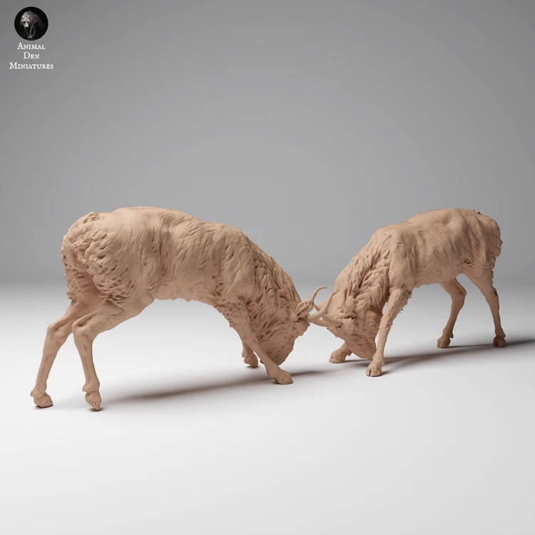 35130626_Mongolian Saiga Male Fight 4.png