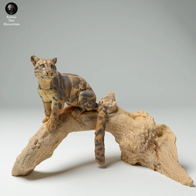 35130714_Clouded Leopard Sitting 1.jpg