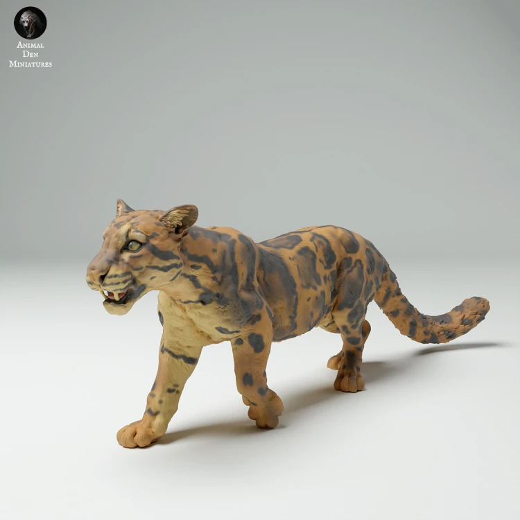 35130715_Clouded Leopard Walk 1.jpg