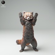 35130716_Red Panda Stand 1.jpg