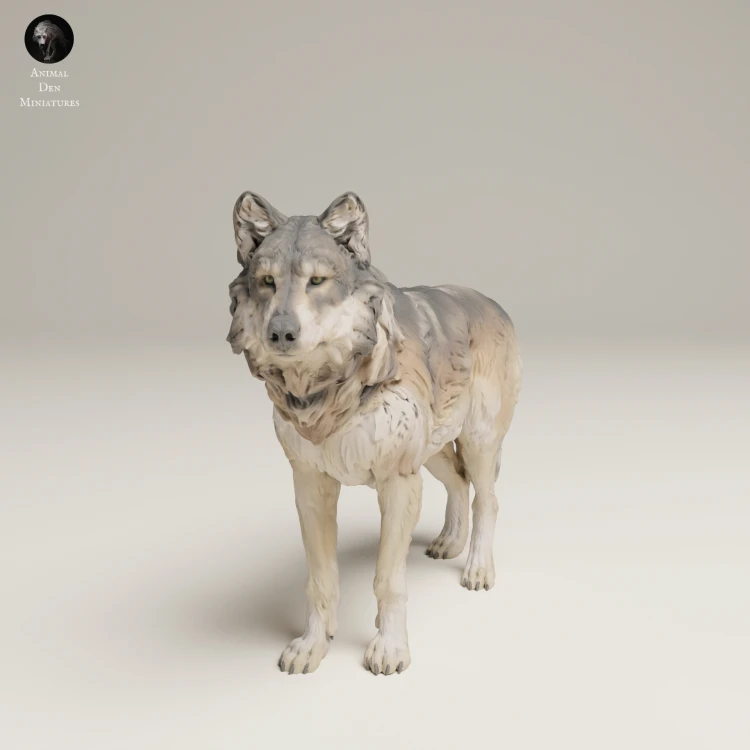 35130462_Grey Wolf Stand_2.jpg