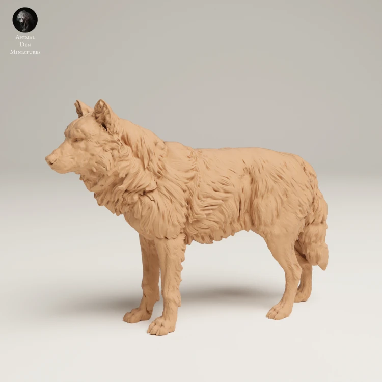 35130462_Grey Wolf Stand_1.jpg