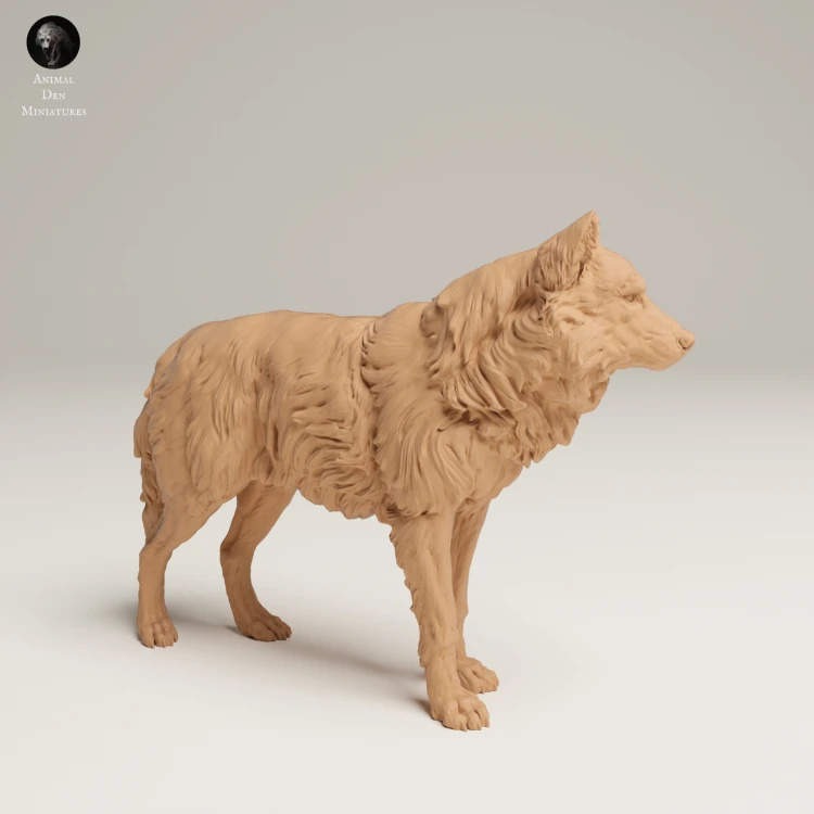 35130462_Grey Wolf Stand_3.jpg