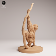 35130721_Sumatran Orangutan on Tree 2.png