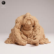 35130722_Sumatran Orangutan Sit 3.png