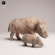 35130724_Sumatran Rhino with Calf 4.png