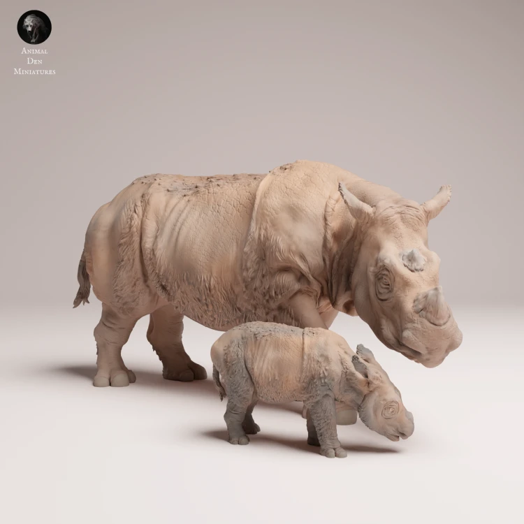 35130724_Sumatran Rhino with Calf 4.png