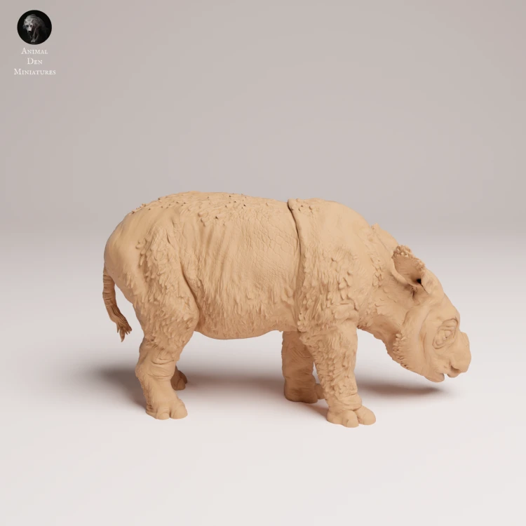 35130724_Sumatran Rhino Calf 1.png